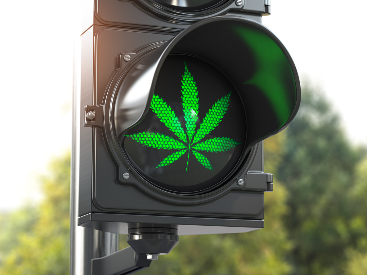 Schweizer Cannabis Legalisierung steht auf grün!