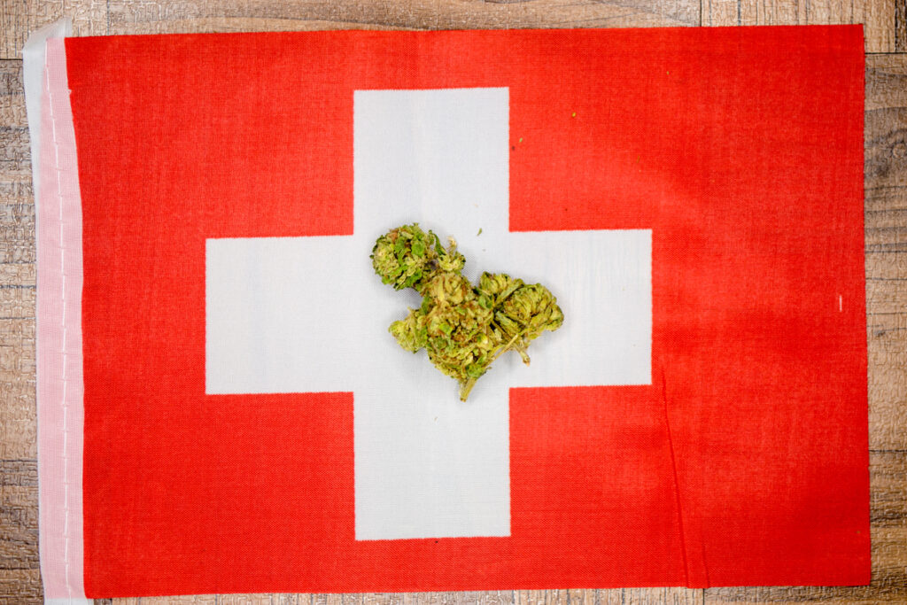 Is Cannabis Legalization Coming In Switzerland Maryjane Ch   Switzerland Marijuana 1150834912 1258x838 1024x683 